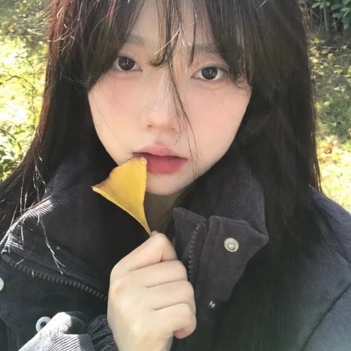 陪你漫步这个世界